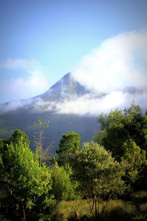 Pear Tree Cottage Stormsrivier Rom bilde