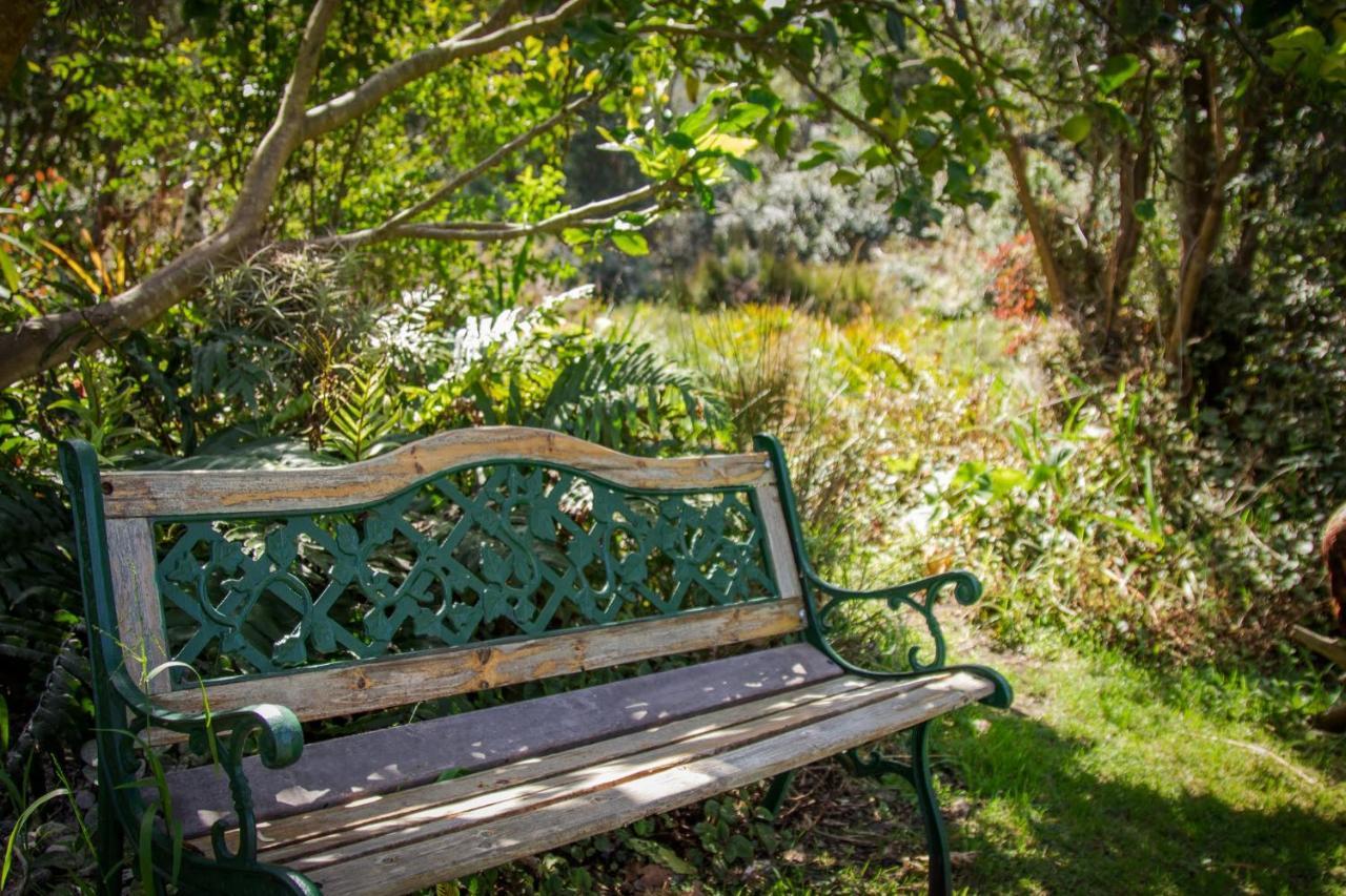 Pear Tree Cottage Stormsrivier Eksteriør bilde